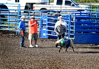 Overbook Rodeo